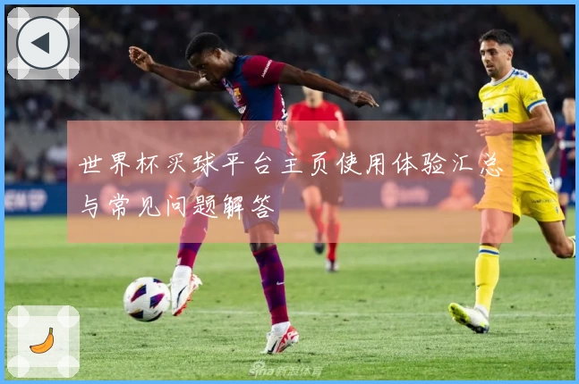 世界杯买球平台主页使用体验汇总与常见问题解答