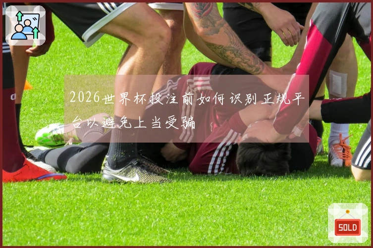 2026世界杯投注前如何识别正规平台以避免上当受骗