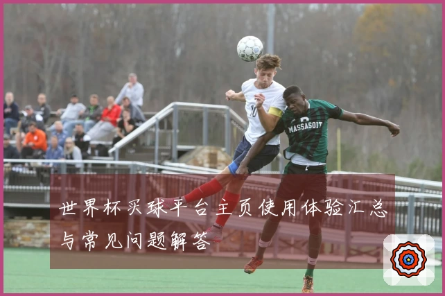 世界杯买球平台主页使用体验汇总与常见问题解答
