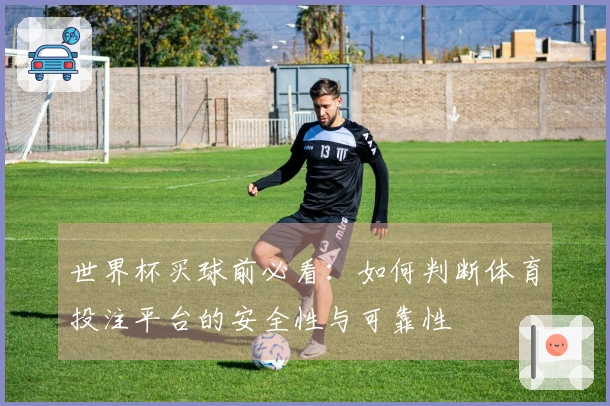 世界杯买球前必看：如何判断体育投注平台的安全性与可靠性