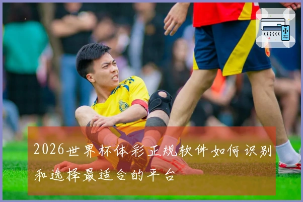 2026世界杯体彩正规软件如何识别和选择最适合的平台
