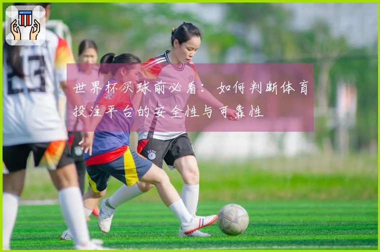 世界杯买球前必看：如何判断体育投注平台的安全性与可靠性
