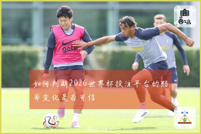 如何判断2026世界杯投注平台的赔率变化是否可信