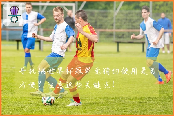 手机端世界杯冠军竞猜的使用是否方便？注意这些关键点！