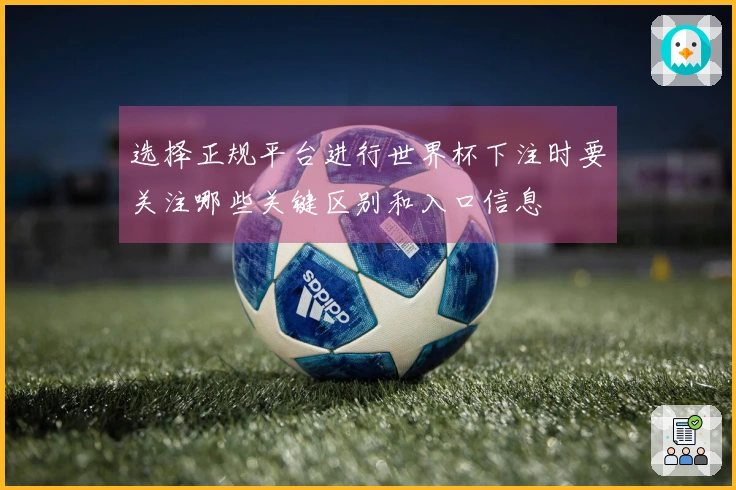 选择正规平台进行世界杯下注时要关注哪些关键区别和入口信息