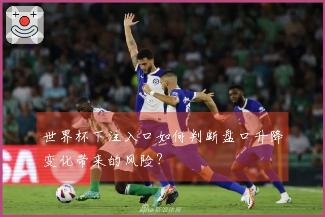 世界杯下注入口如何判断盘口升降变化带来的风险？