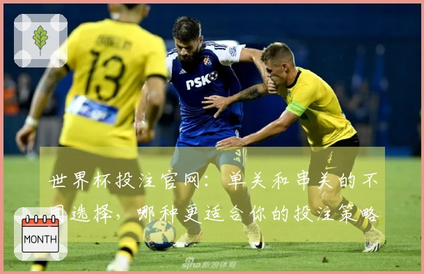 世界杯投注官网：单关和串关的不同选择，哪种更适合你的投注策略？