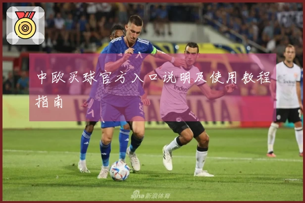 中欧买球官方入口说明及使用教程指南