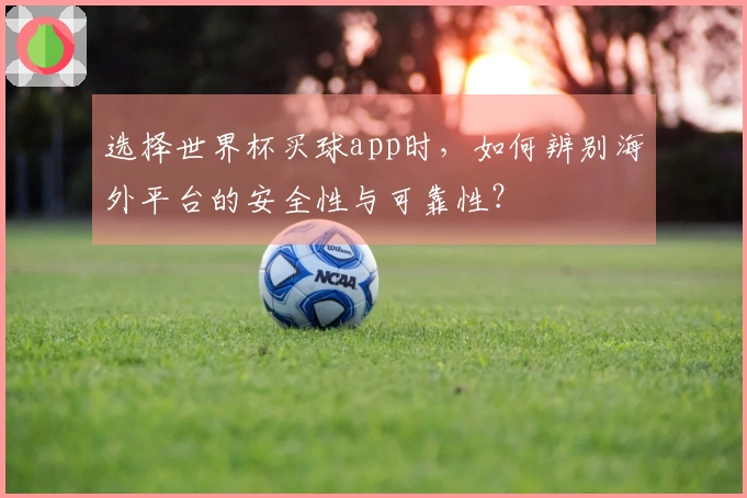 选择世界杯买球app时，如何辨别海外平台的安全性与可靠性？