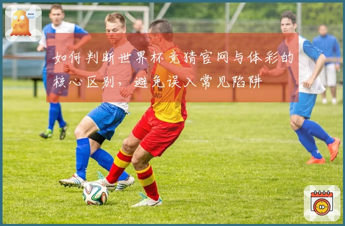 如何判断世界杯竞猜官网与体彩的核心区别，避免误入常见陷阱