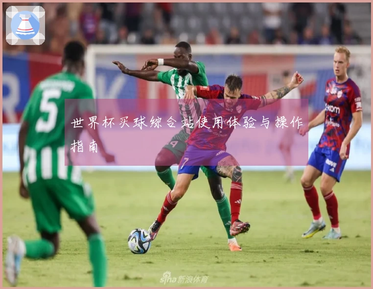 世界杯买球综合站使用体验与操作指南