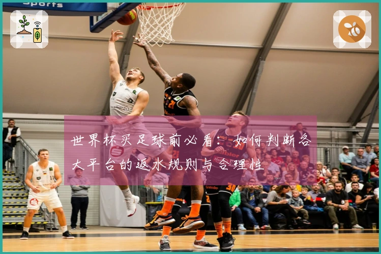 世界杯买足球前必看：如何判断各大平台的返水规则与合理性