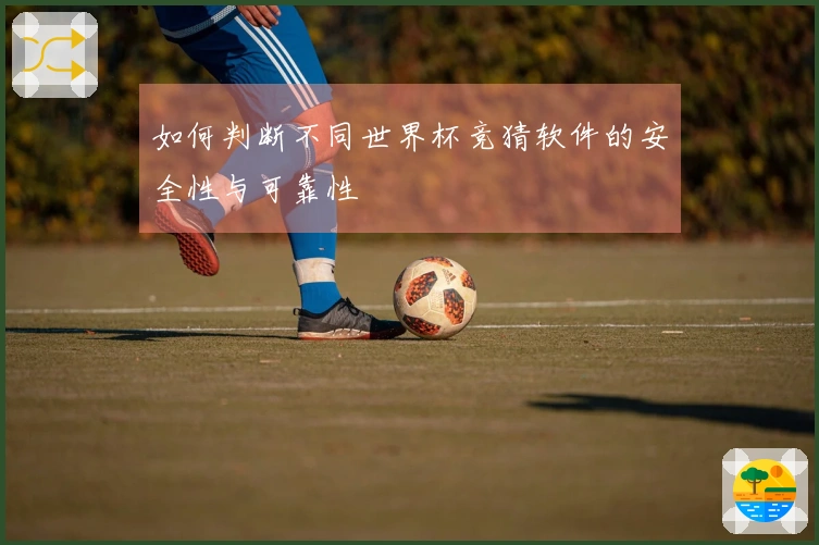 如何判断不同世界杯竞猜软件的安全性与可靠性