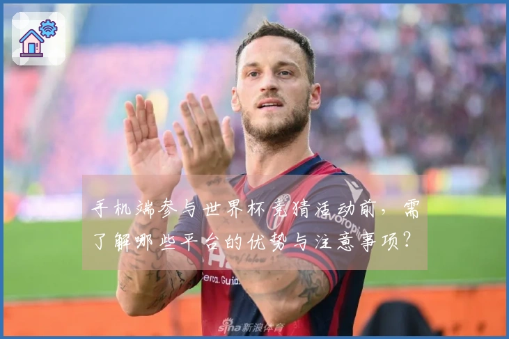 手机端参与世界杯竞猜活动前，需了解哪些平台的优势与注意事项？