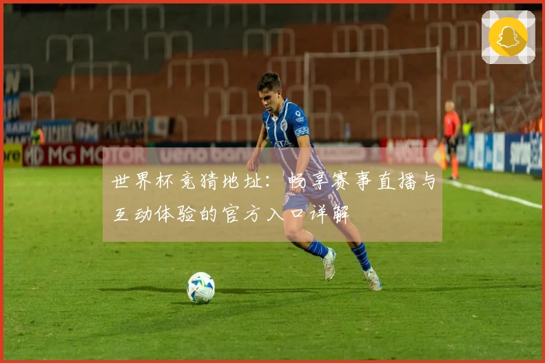 世界杯竞猜地址：畅享赛事直播与互动体验的官方入口详解