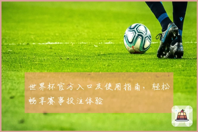 世界杯官方入口及使用指南，轻松畅享赛事投注体验