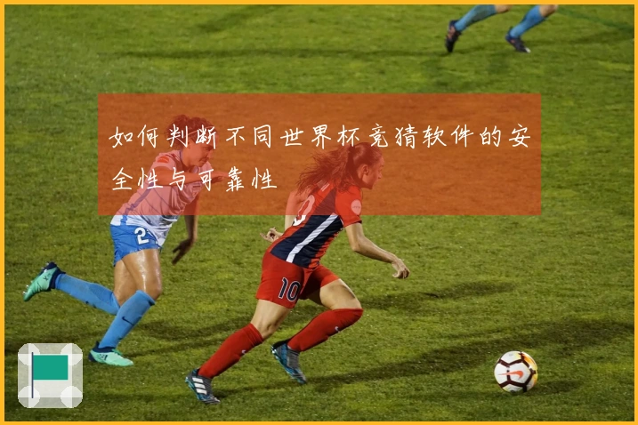 如何判断不同世界杯竞猜软件的安全性与可靠性