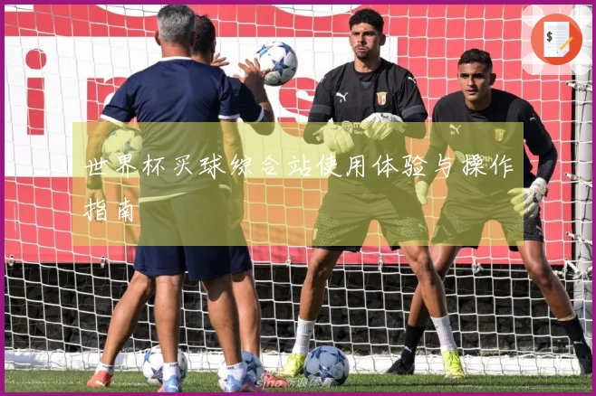 世界杯买球综合站使用体验与操作指南