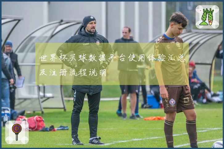 世界杯买球数据平台使用体验汇总及注册流程说明