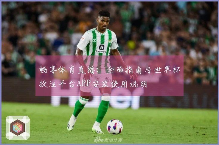畅享体育直播：全面指南与世界杯投注平台APP安装使用说明