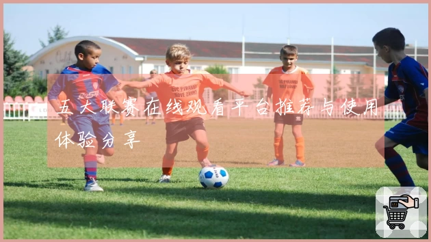 五大联赛在线观看平台推荐与使用体验分享