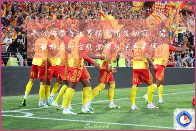 手机端参与世界杯竞猜活动前，需了解哪些平台的优势与注意事项？
