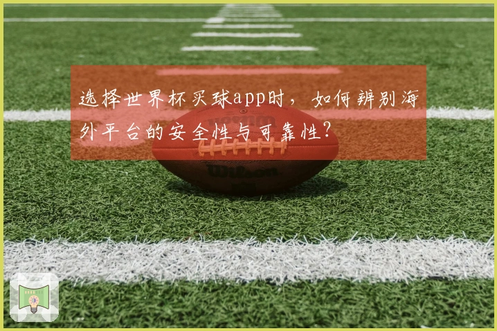 选择世界杯买球app时，如何辨别海外平台的安全性与可靠性？