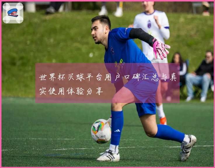 世界杯买球平台用户口碑汇总与真实使用体验分享